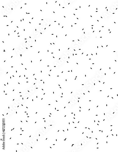 Firework vector background