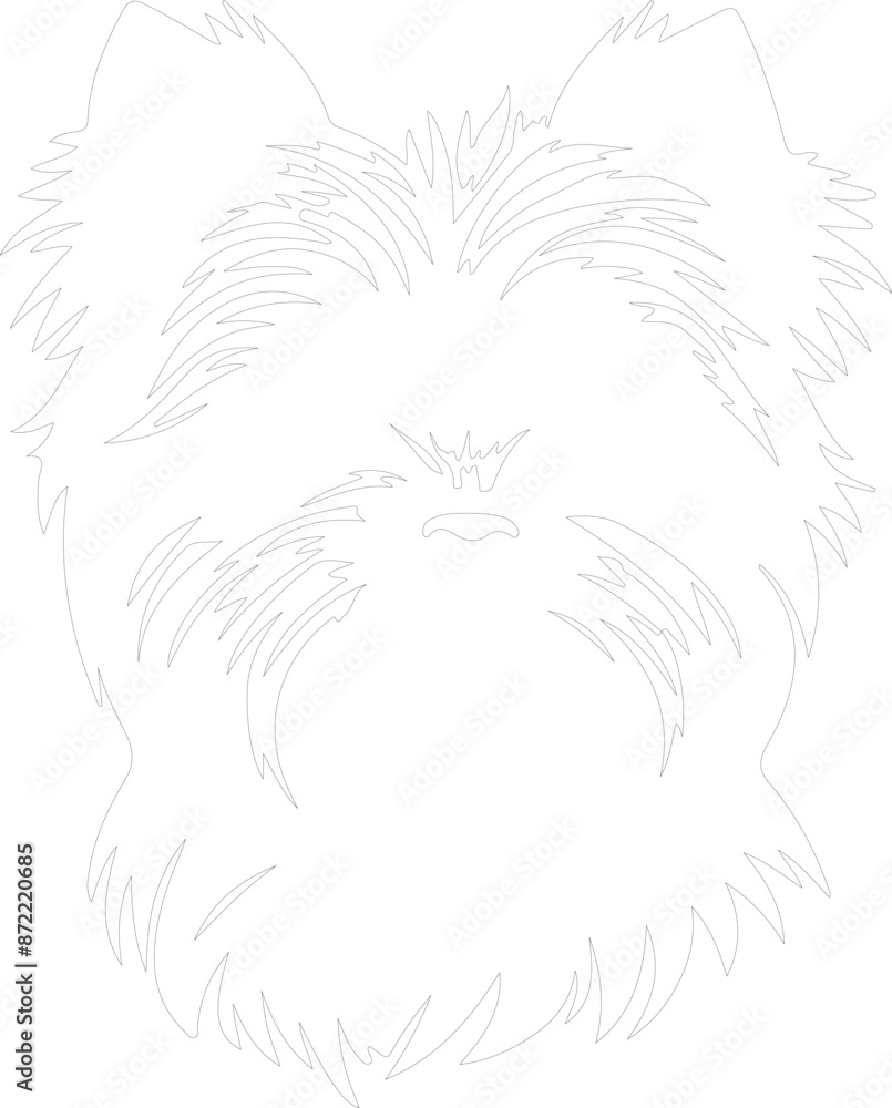 Affenpinscher outline Affenpinscher outline