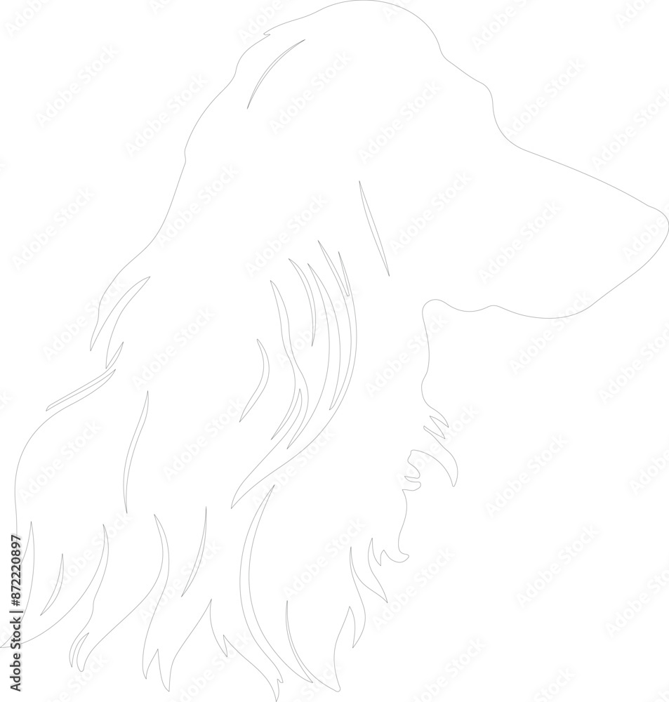 Afghan Hound outline Afghan Hound outline