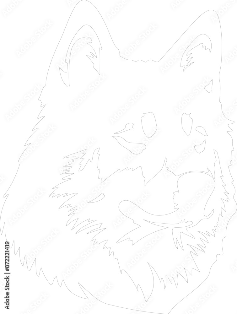 Obraz premium Akita outline