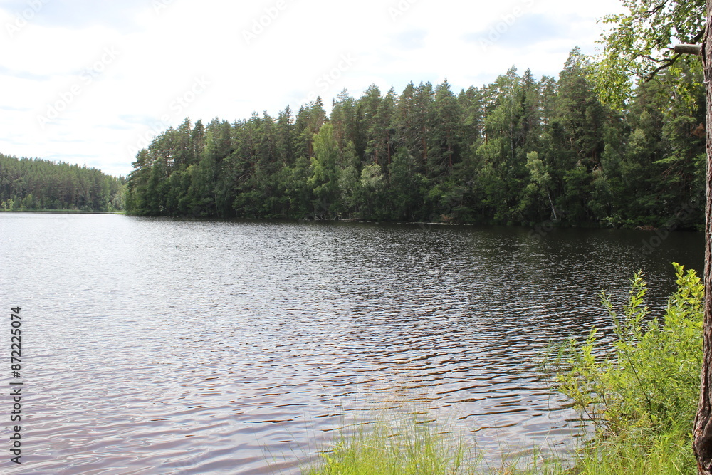 Fototapeta premium Crystal-clear lake and dense forest.