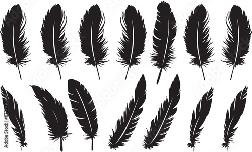 feathers silhouette set vector on white background	