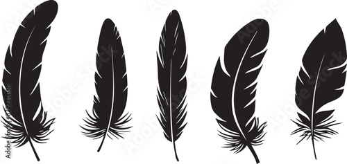 feathers silhouette set vector on white background	