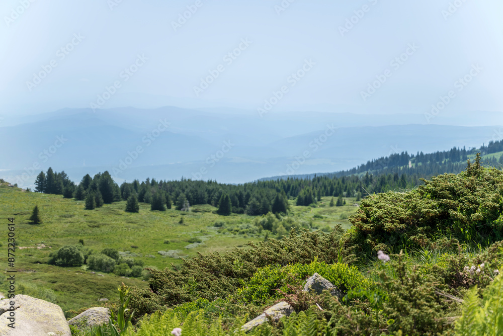 Fototapeta premium Summer Mountain Landscape with Cloudy Sky . Vitosha Mountain ,Bulgaria .Black peak 