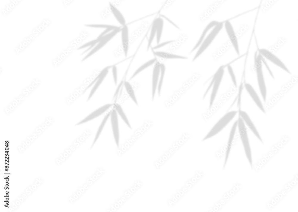 This image shows isolated grey bamboo Silhouette blurred on a separate background with olive leaves and branches shadows, perfect for nature themed designs. This image shows isolated grey bamboo Silhouette blurred on a separate background with olive leaves and branches shadows, perfect for nature themed designs.