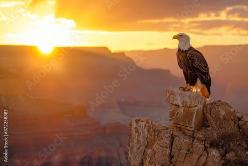 an eagle perched on a cliff, with a gorgeous sunset in the distance