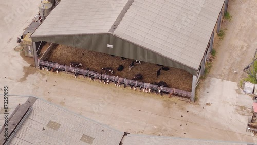 Aerial of a farm, cows feeding in the barn