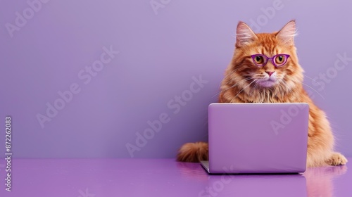 Ginger Cat Wearing Glasses Using Laptop on Purple Background