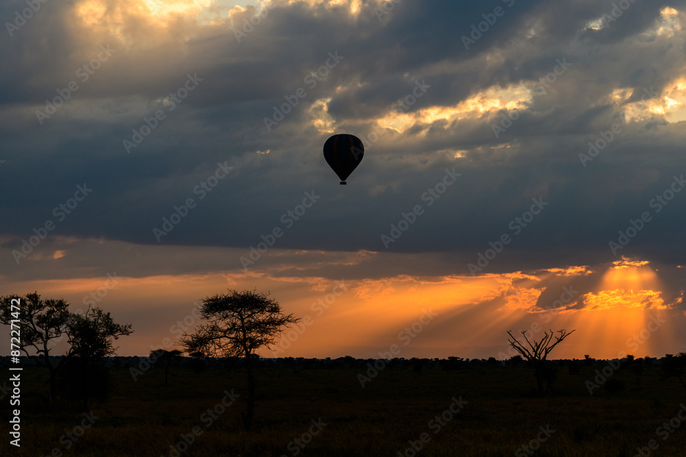 Hot air balloon over the plains of the Serengeti National Park at sunrise, Tanzania Hot air balloon over the plains of the Serengeti National Park at sunrise, Tanzania