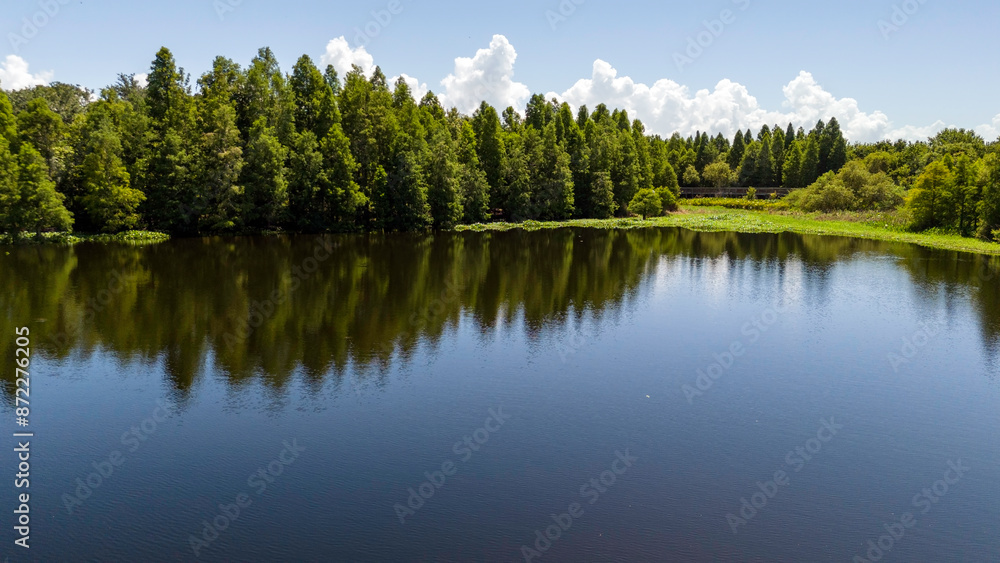 Fototapeta premium A drone view of the natural wild Florida