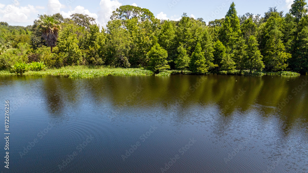 A drone view of the natural wild Florida A drone view of the natural wild Florida