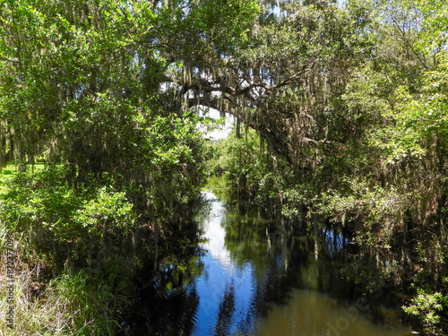 Beautiful nature Florida parks