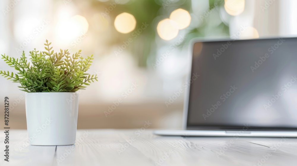 Serene Indoor Setting With Green Plant and Laptop Serene Indoor Setting With Green Plant and Laptop