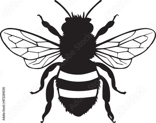 Bee silhouette black vector flat illustration. Honey Bee icon, honey bee silhouette on white background.  black and white, silhouette bee collection. Vector illustration for drawing.