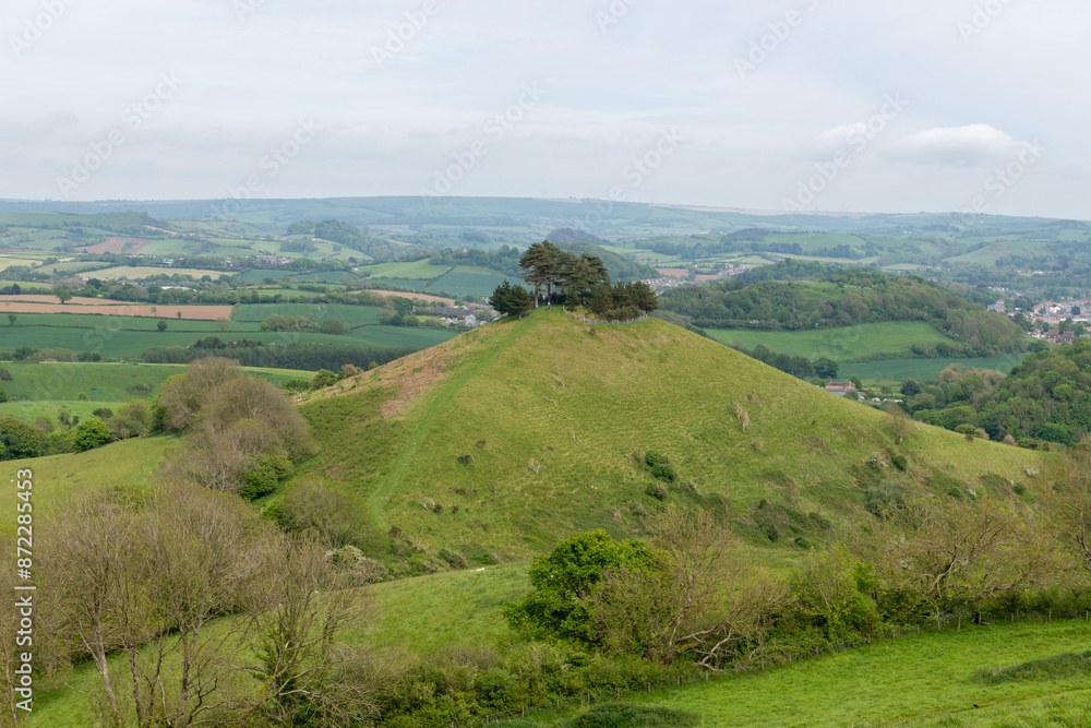 Landscape photo of Colmers hill in Dorset Landscape photo of Colmers hill in Dorset
