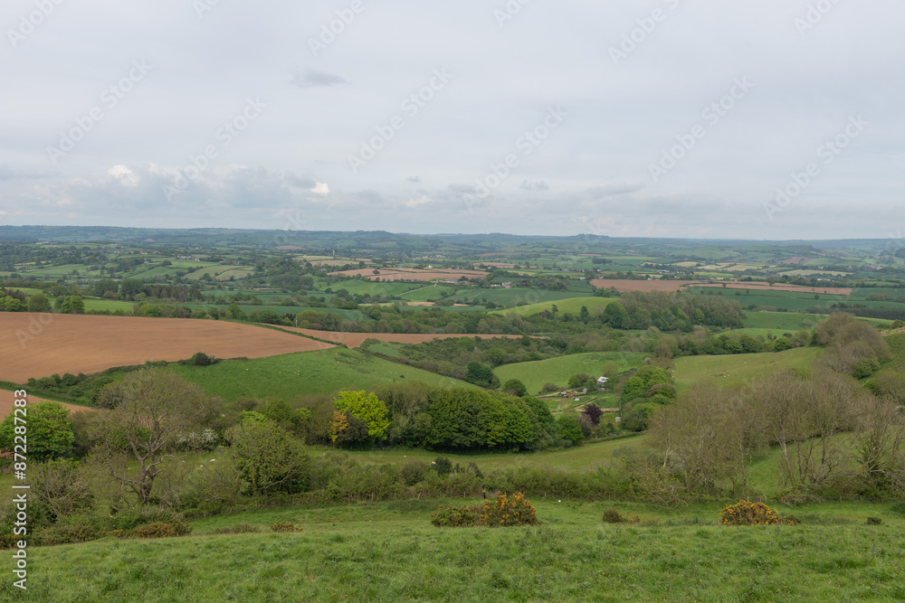 Fototapeta premium View from the top of Quarry hill in Dorset