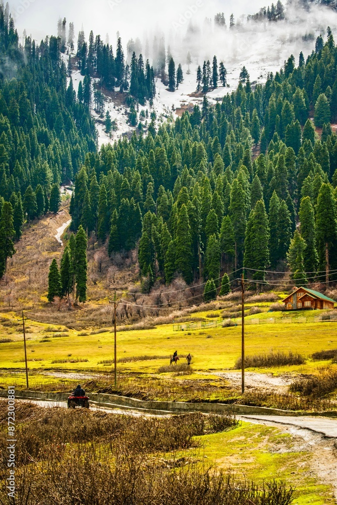 Φωτογραφία Scenic landscape of a lush green valley with pine trees and a mountain in the ba