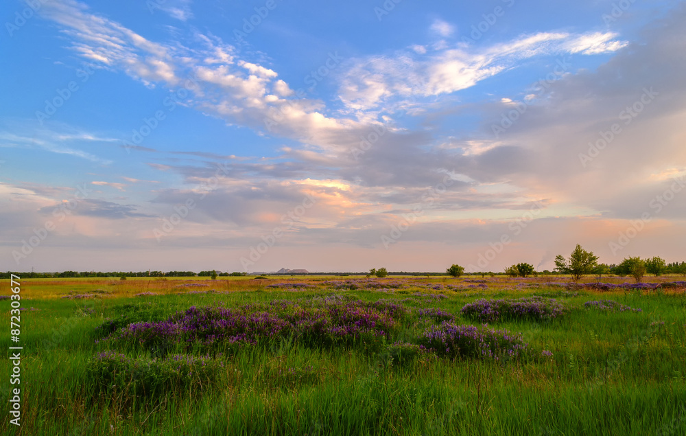 Atmospheric Ukrainian landscape, nature, trees Atmospheric Ukrainian landscape, nature, trees