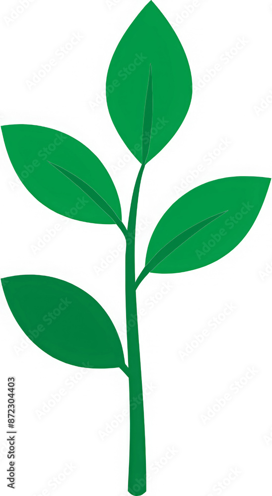 Fototapeta premium green plant isolated on white background