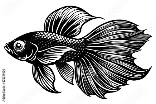 marine fish  silhouette vector illustration 