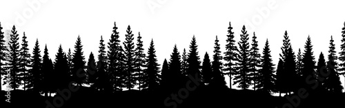 Evergreen trees forest silhouette. Seamless border. vector illustration
