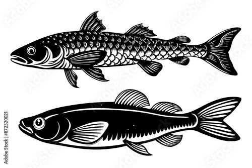 marine fish silhouette vector illustration photo