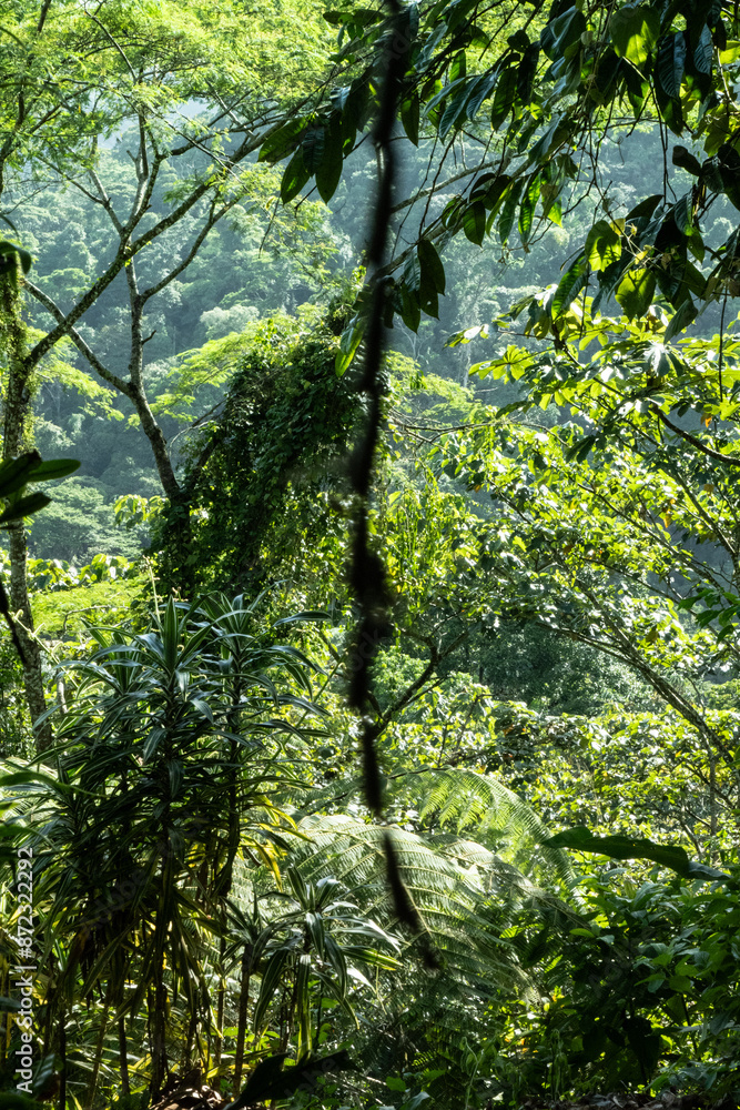 Fototapeta premium Laguna de Hule, Costa Rica