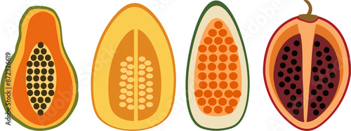 Fruit wector set illustration Tamarillo Pepino melon Papaya photo