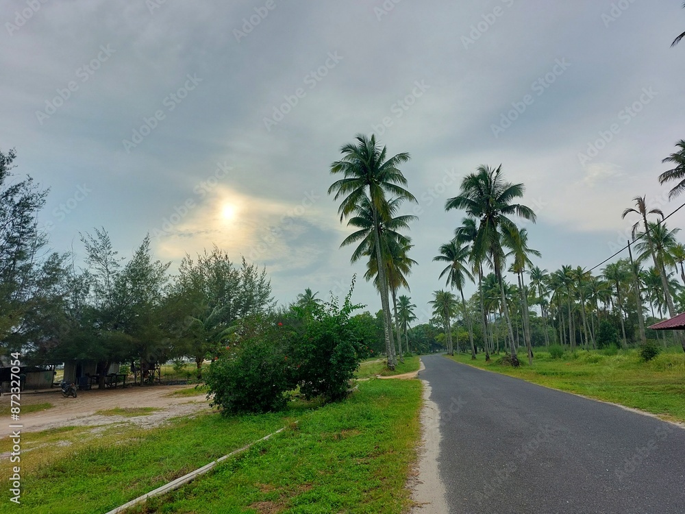 morning street atmosphere with sunrise and shady trees