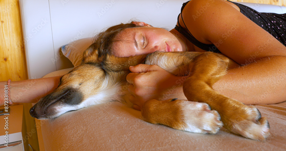 CLOSE UP: Cute brown puppy snuggling up to female owner sleeping on the couch. CLOSE UP: Cute brown puppy snuggling up to female owner sleeping on the couch.