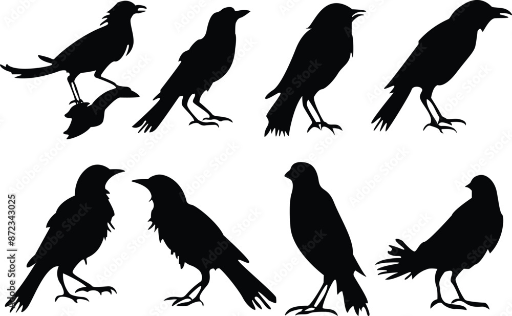 Set of crow silhouettes. Crow vector illustrations 2 Set of crow silhouettes. Crow vector illustrations 2