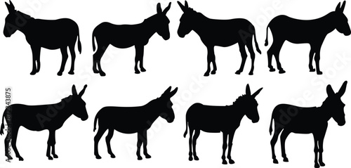 Donkey silhouettes set. Silhouettes of donkey vector illustrations