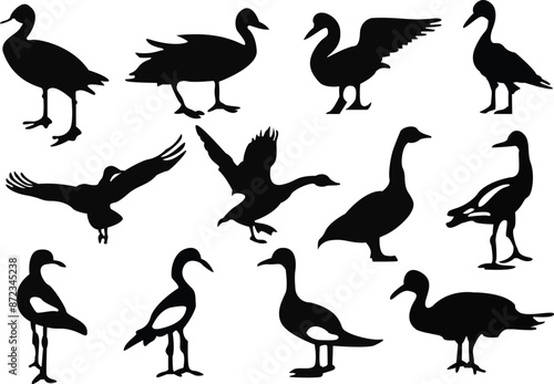 Silhouette geese vector illustrations set