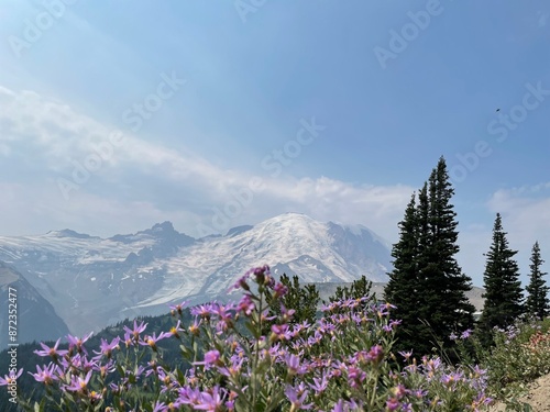 Фотография Scenic hiking view with flowers mountains and tress