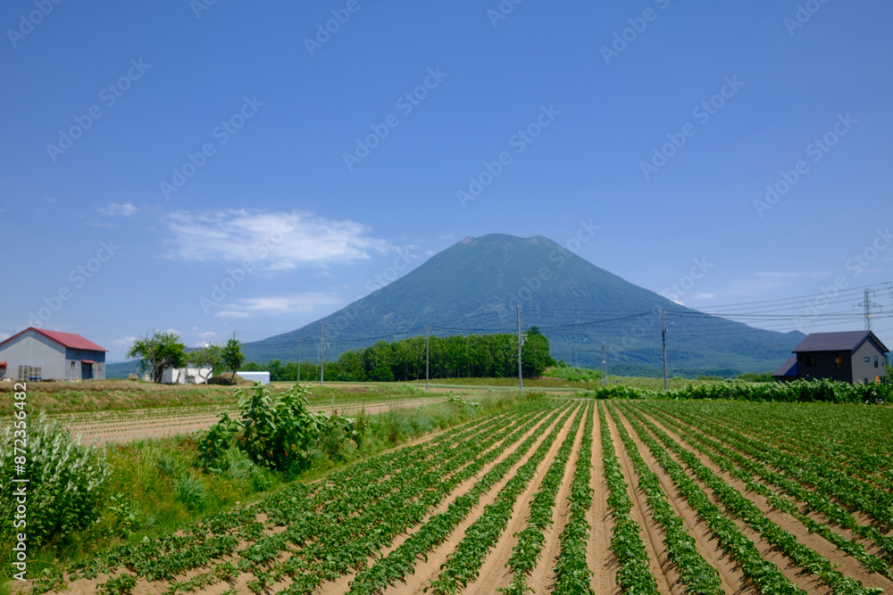 羊蹄山 羊蹄山