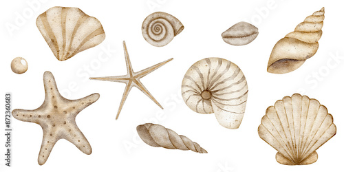 Underwater set of shells, starfish, pearl. Watercolor illustration, hand drawn nautical style, isolated for cards, posters, packaging, labels, invitations, congratulations