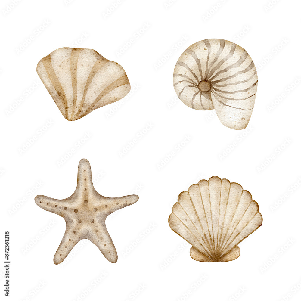 Watercolor set of shells, starfish, scallop, spiral, mollusk. Illustration isolated for design of cards, posters, packaging, labels, invitations, congratulations Watercolor set of shells, starfish, scallop, spiral, mollusk. Illustration isolated for design of cards, posters, packaging, labels, invitations, congratulations