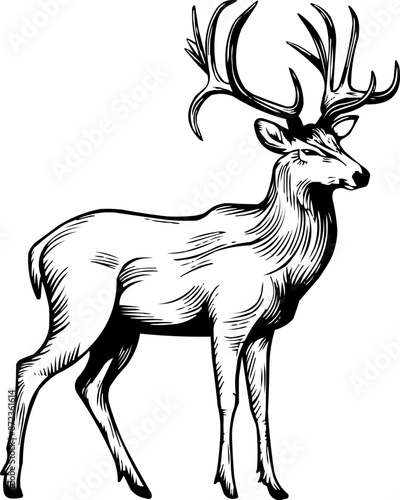 Mule Deer silhouette vector art illustration, Mule deer cut file, Mule deer laser cut file, Mule deer cricut file, Mule deer wood engraving file