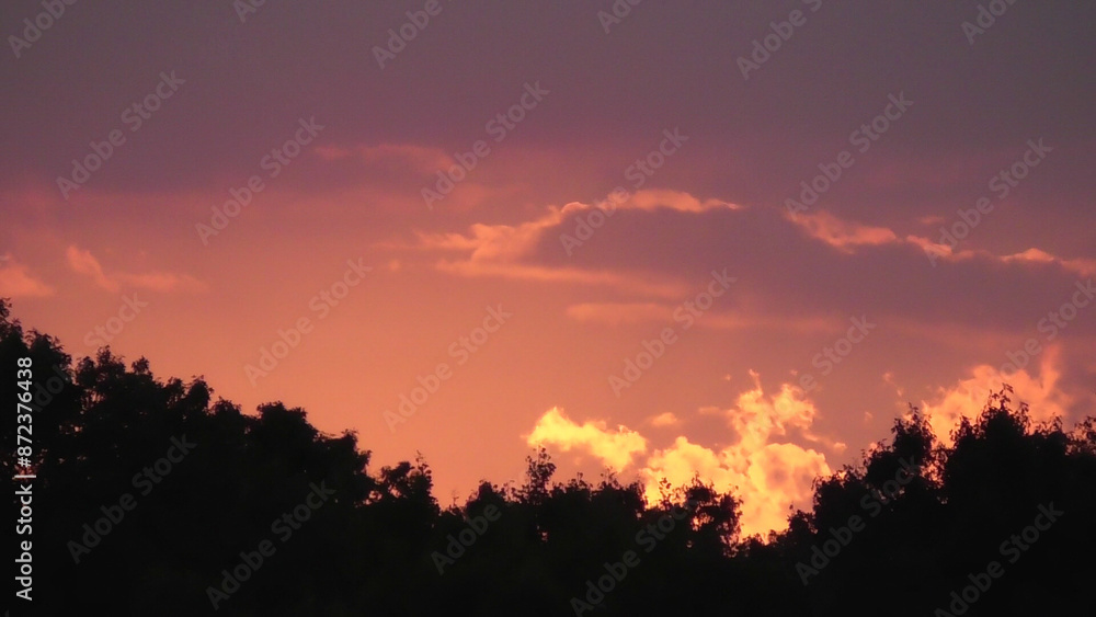 Obraz premium Purple Sunset Over The Trees