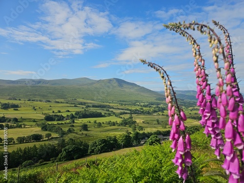 hiking and wild camping in the Lake District Blencathra and Eskdale photo