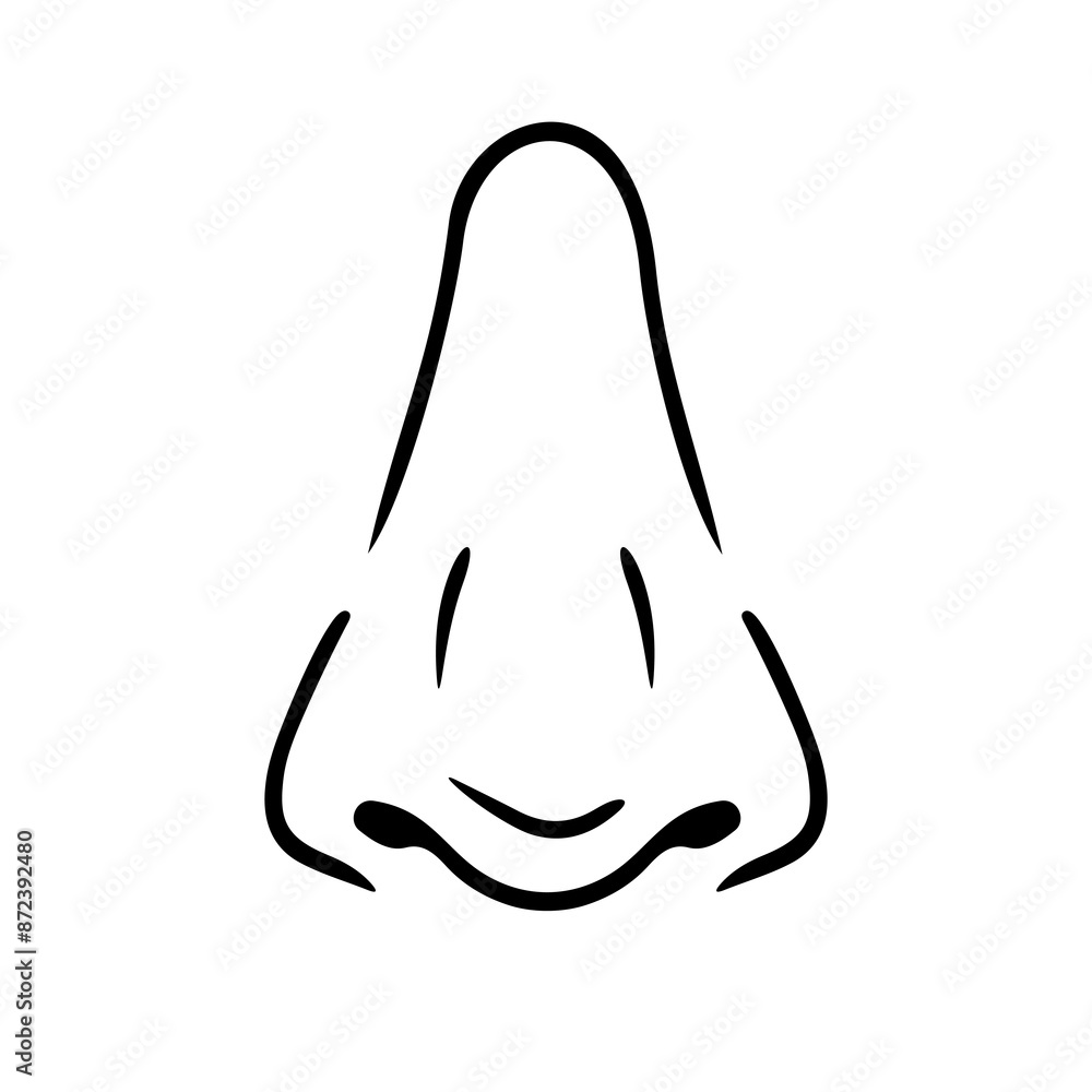 Hand drawn human nose line art vector illustration, human anatomy educational material Hand drawn human nose line art vector illustration, human anatomy educational material