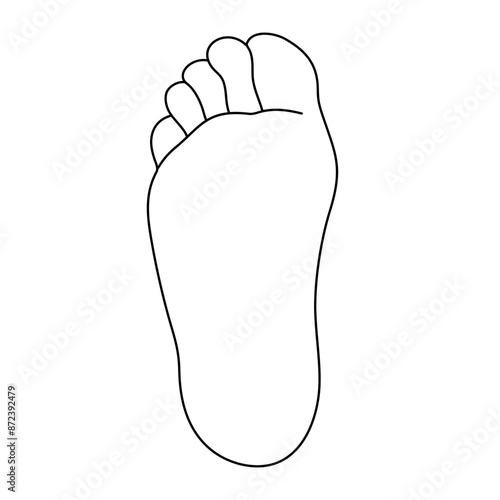 Foot sole line drawing vector illustration, hand drawn human foot palm line art vector illustration, barefoot clipart isolated, human anatomy educational material