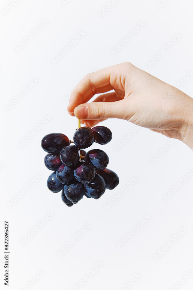 Hand holding black grapes on white background, close up shot Hand holding black grapes on white background, close up shot