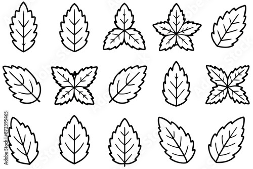 Mint leaf line art design elegant nature style