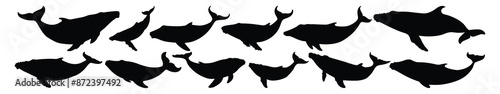 Whale silhouettes set, pack of vector silhouette design, isolated background