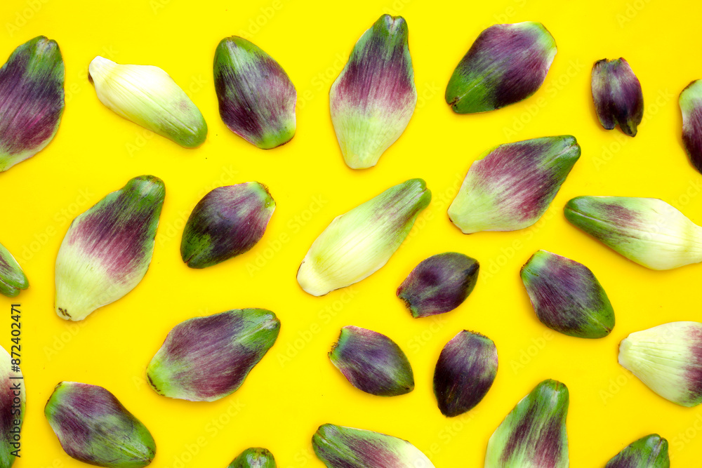 Artichoke petals on yellow background. Artichoke petals on yellow background.