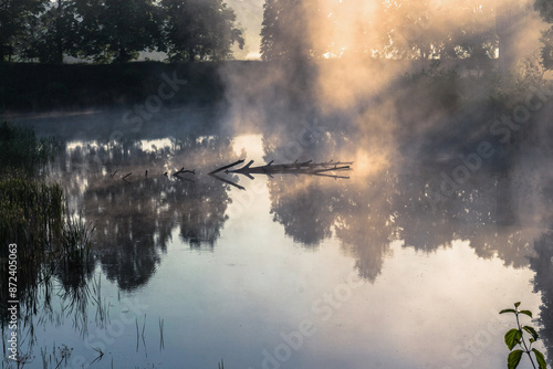 Letni wschód słońca nad jeziorem photo