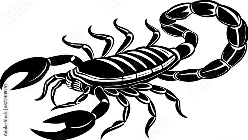 scorpion isolated on white background