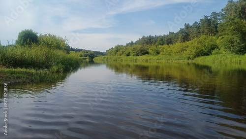 lake in the forest