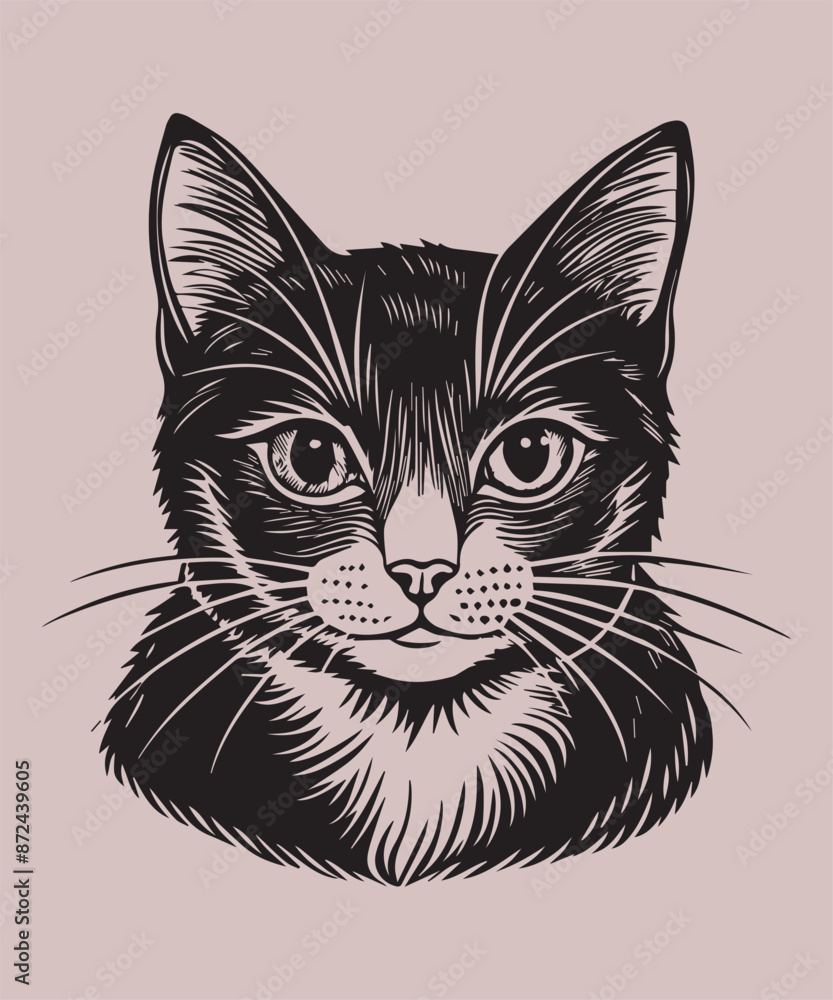 Cat Art & Illustration Cat Art & Illustration